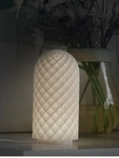 Bambu Lamp